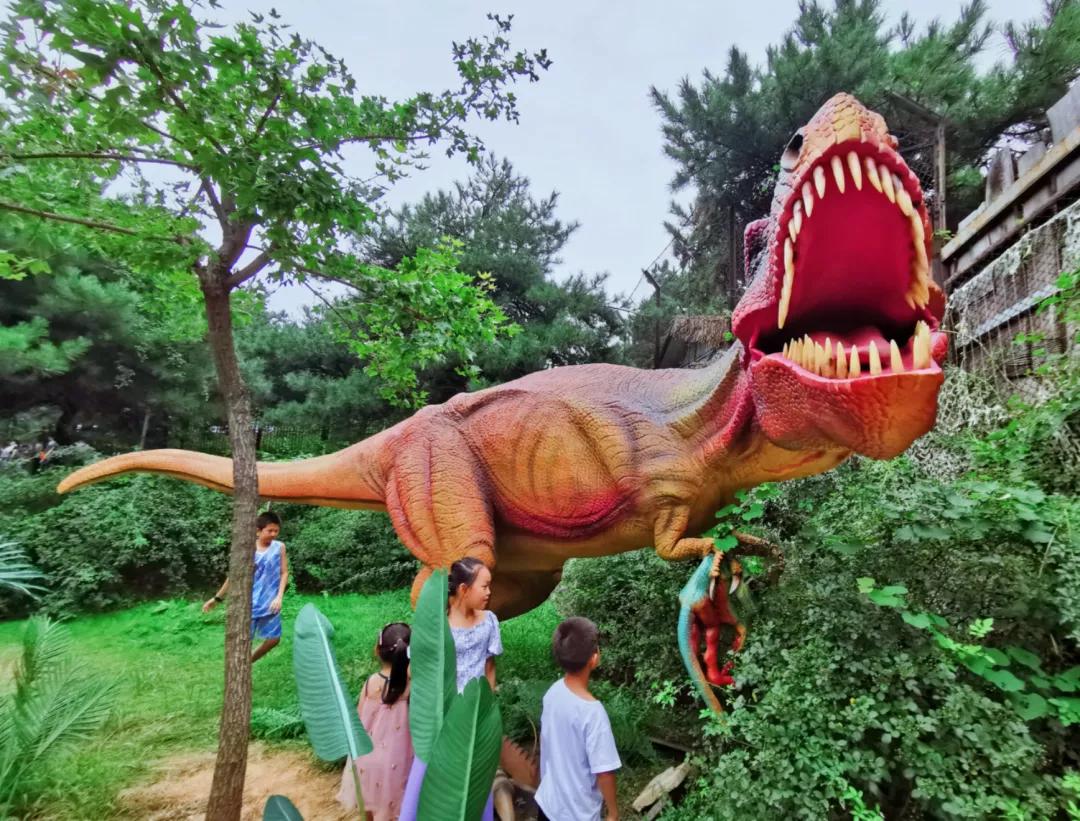 济南免费周末遛娃玩水好去处,济南亲子公园游玩地点推荐