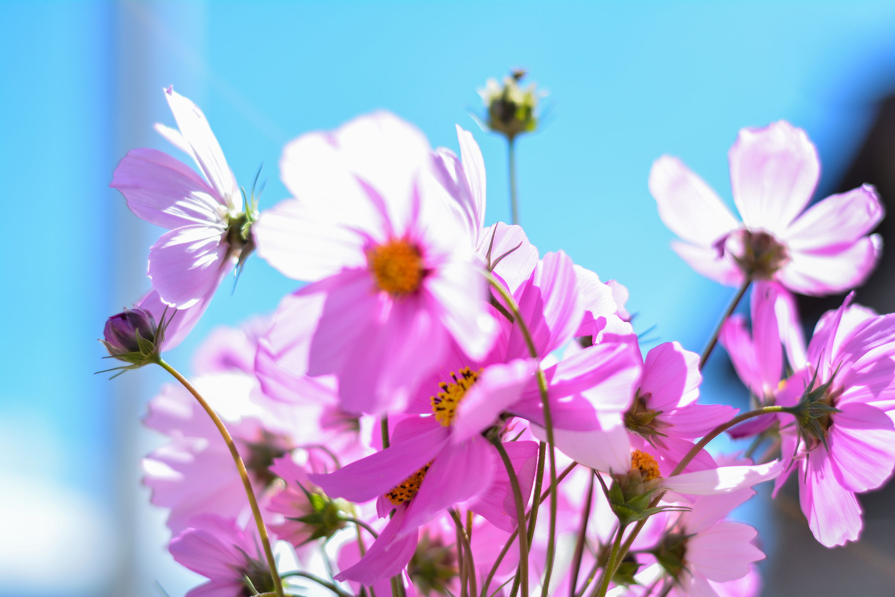 湛江去云南旅游怎么省钱,云南旅游自由行省钱攻略