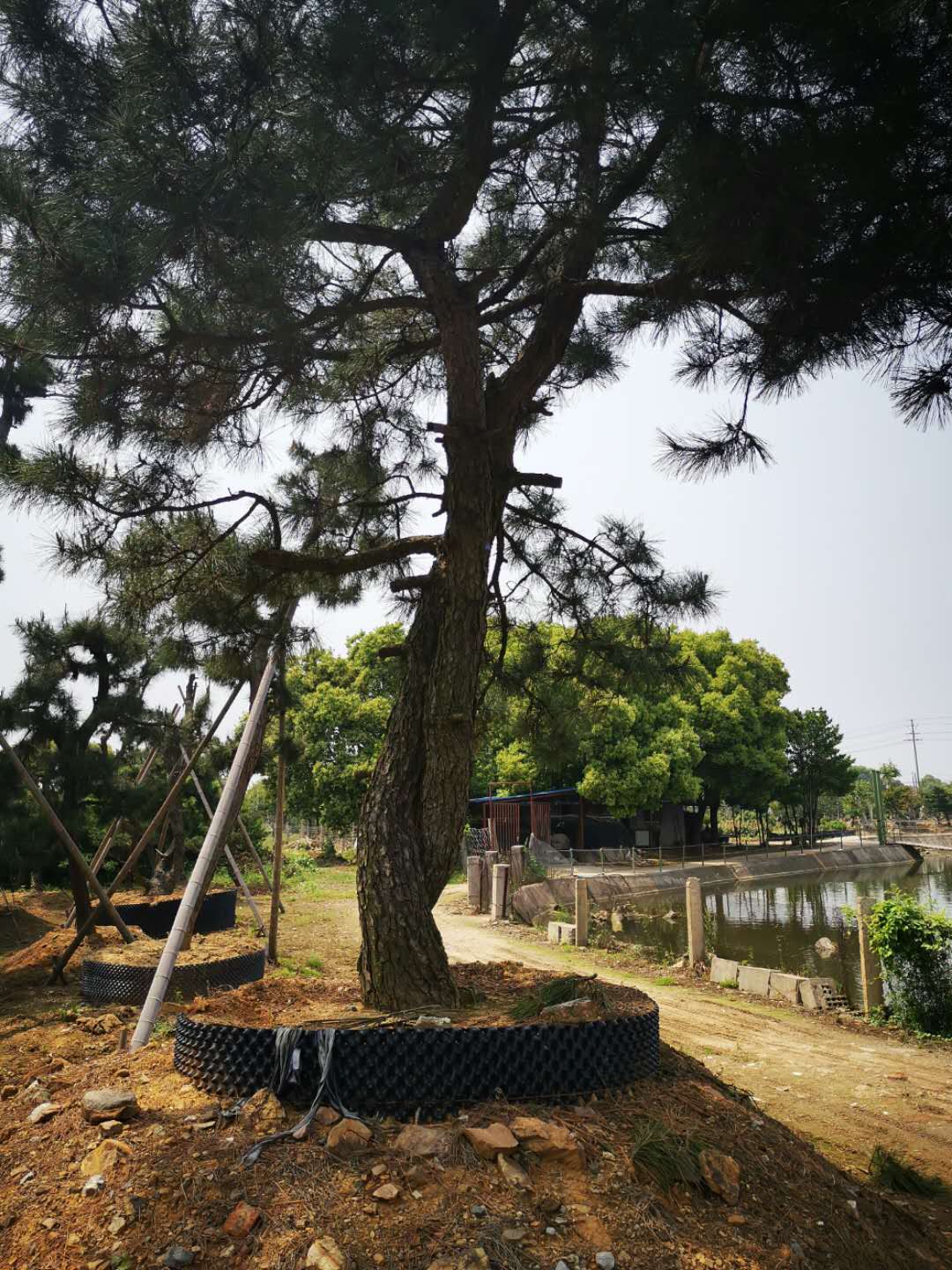 叹为观止自然风景,叹为观止高清图