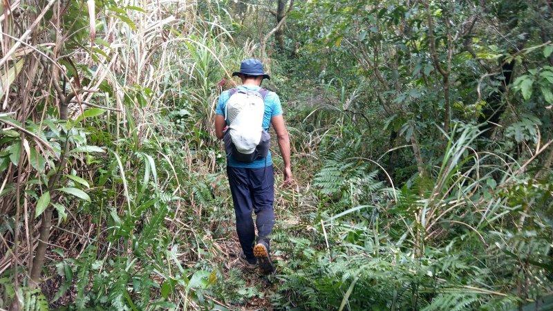 北面徒步鞋专业级和高性价比,北面徒步鞋thenorthface怎么样