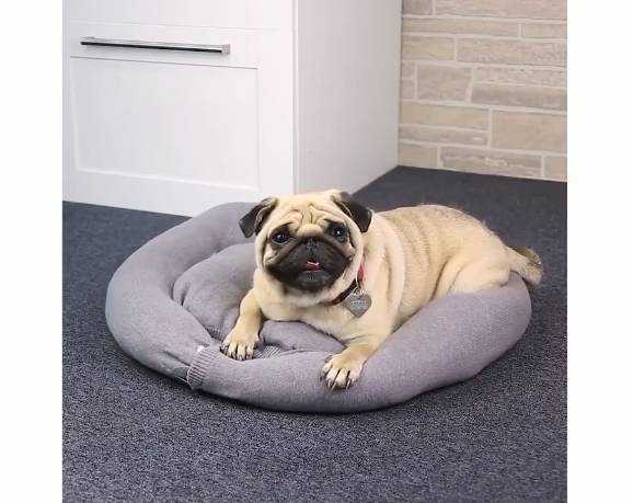 不要的旧衣服如何处理？C4N带来旧衣改造妙招