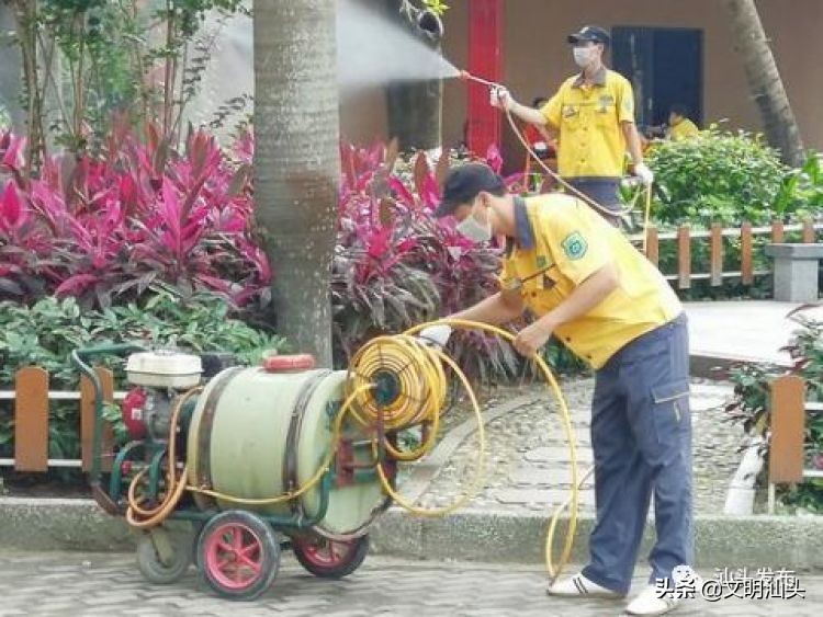 2020年登革热温馨提示,外出旅游如何预防登革热