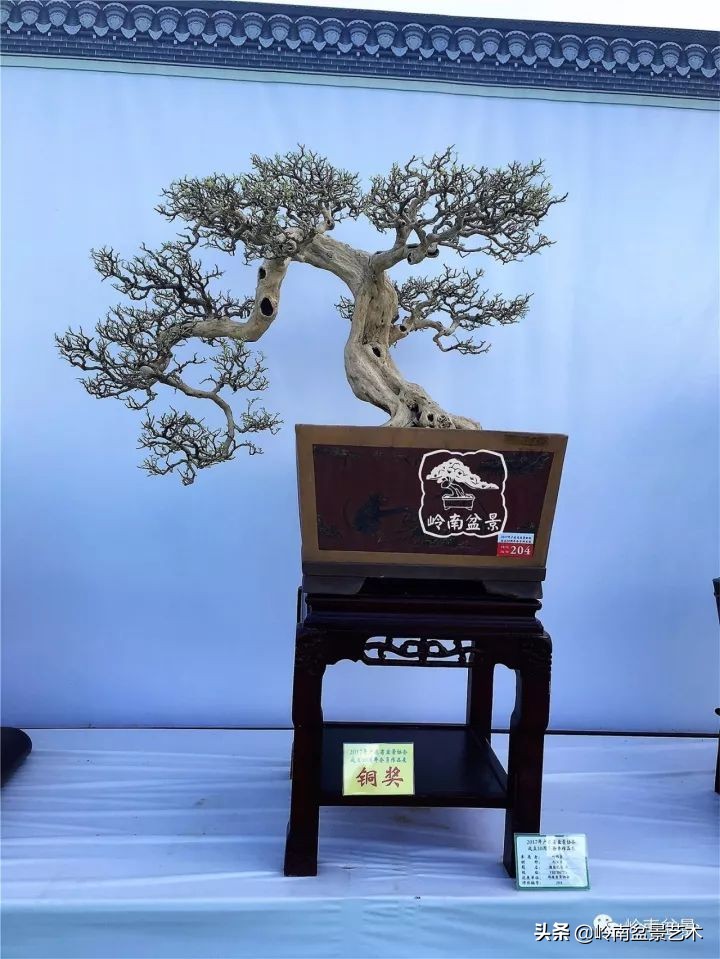 骞哥涔呬箙鐢滅敎铚滆湝,骞哥涔呬箙