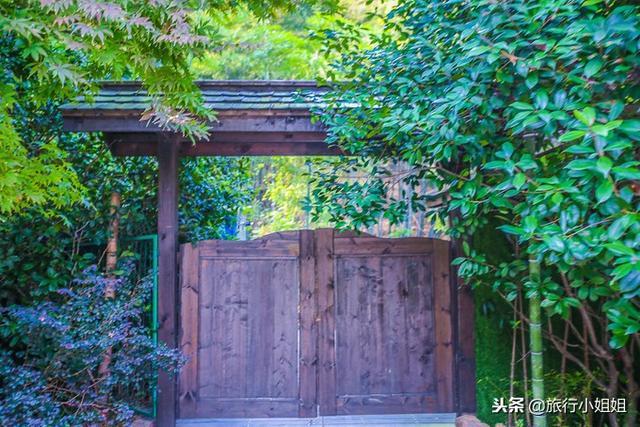 天目湖加南山竹海哪里泡温泉好,天目湖度假秘境享受绝美自然山水