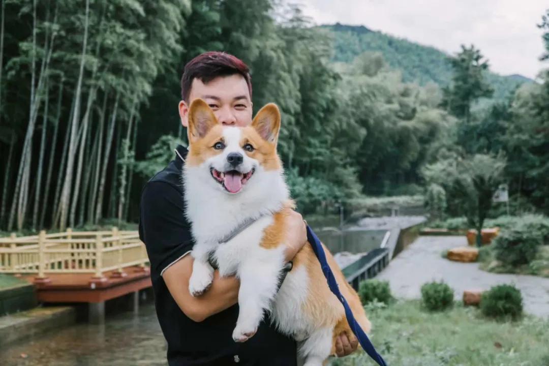 带着自己的宠物去旅行,主人带着狗狗去全世界旅行