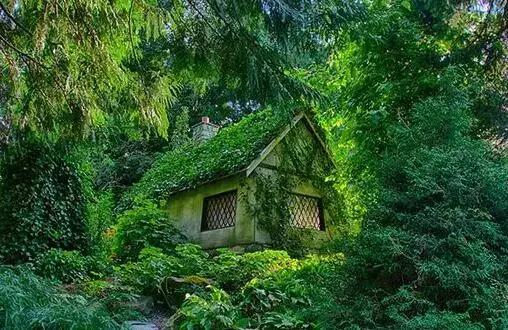 简单温馨的小屋怎样设计,温馨的小屋改造