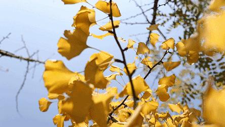 李全喜简介图文,李全喜书法作品欣赏