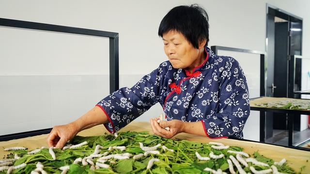 中国最低调小城市,中国最低调小镇