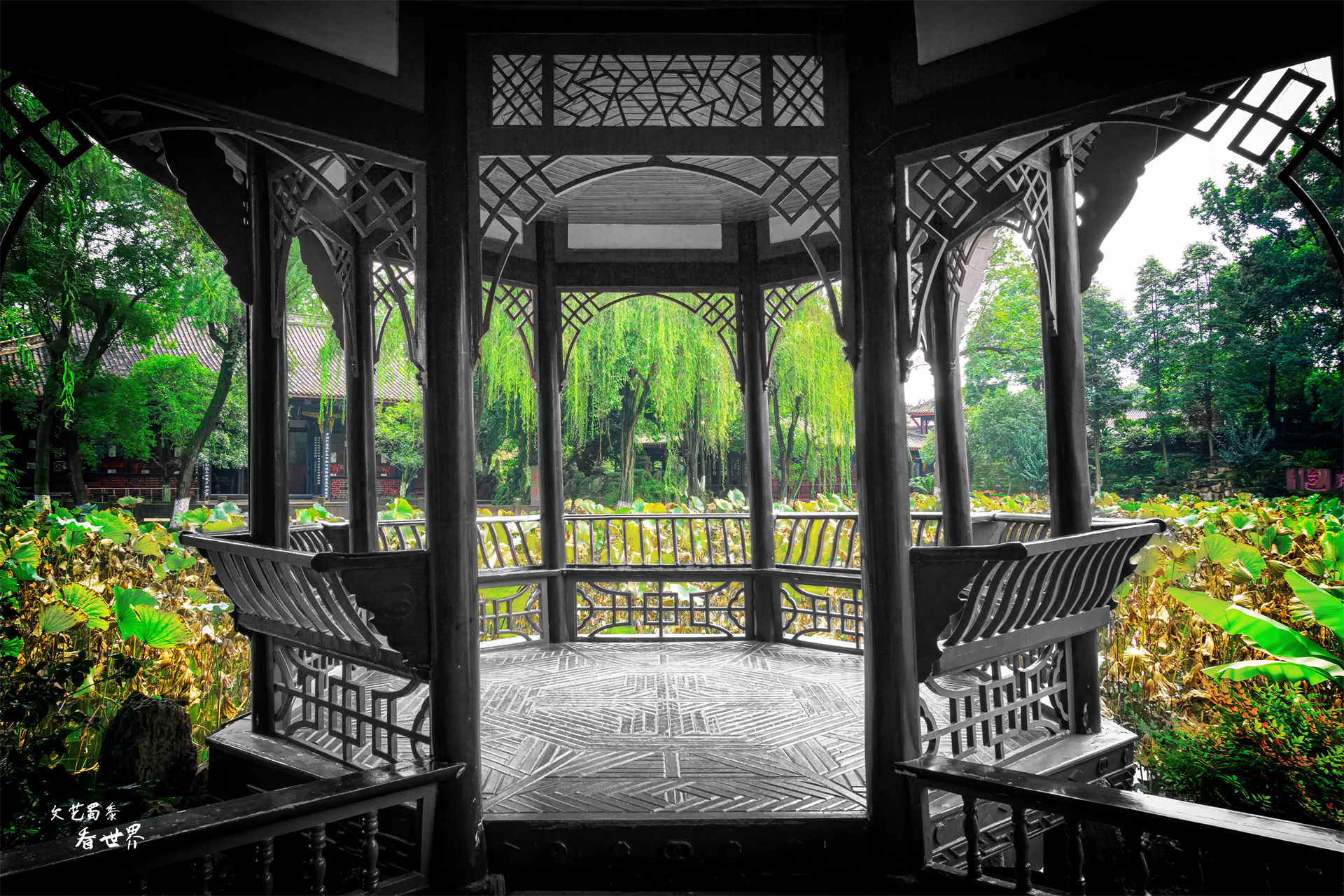 假期想去成都旅游怎么办,假期旅游去成都