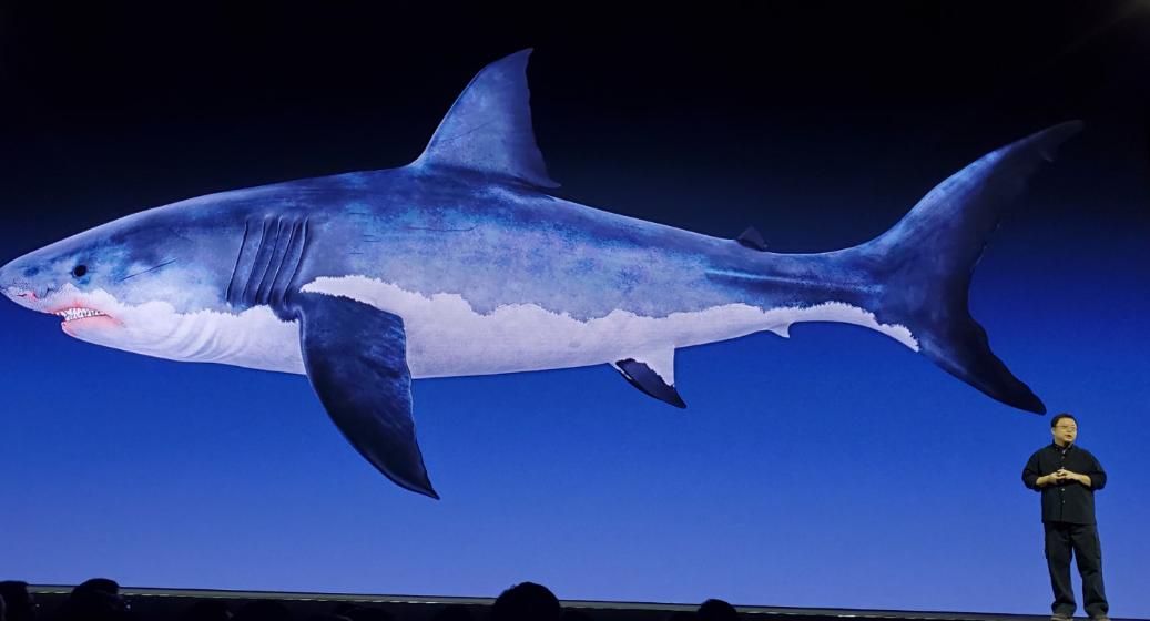 鲨纹科技回应回应哈佛专家质疑:罗老师说的95%是个大概数字