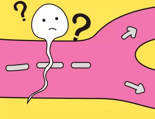 科普精子的几种死法