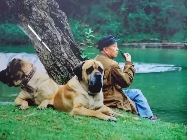 有没有一种别人的人生是你羡慕、向往的人生，如果有，那是黄永玉