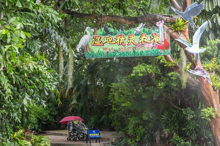 长隆飞鸟乐园湿地精灵,长隆飞鸟公园一日游攻略