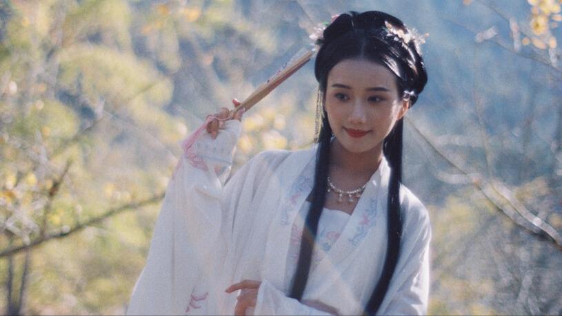 汉王朝奠定了坚实的基础,为大秦奠定万世之基