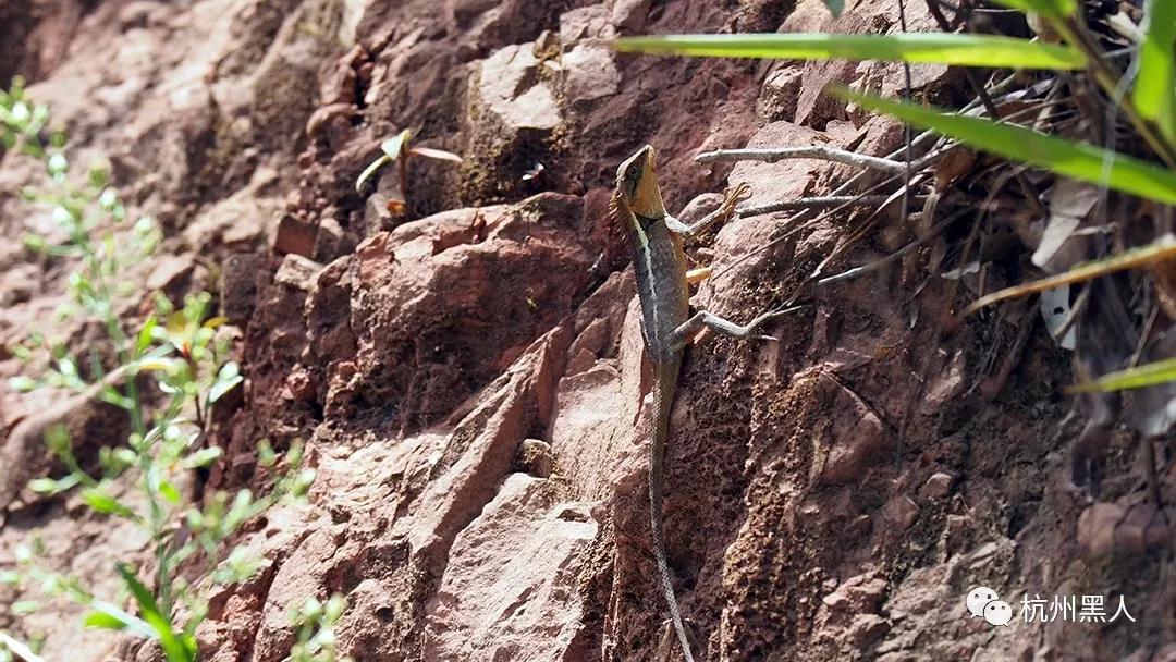 凯越500x摩旅西藏视频,凯越500x召回通知