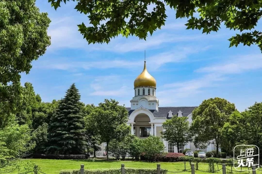 上海一日游古镇最佳路线免费景点,上海晚上十大必去免费景点