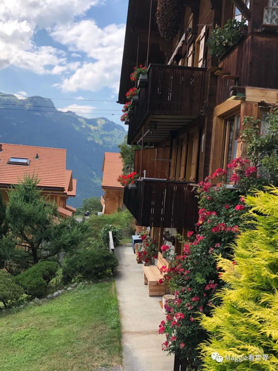 除了美，一无所有！跟我一起去体验瑞士欧洲之巅的旅程吧！