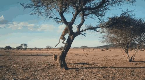 15岁怀孕，她被骗吃下*药炸**，一尸两命：有些人，这辈子不配为人
