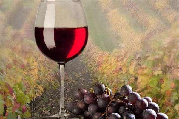 去澳门必买的十大东西,澳门有什么值得代购的东西