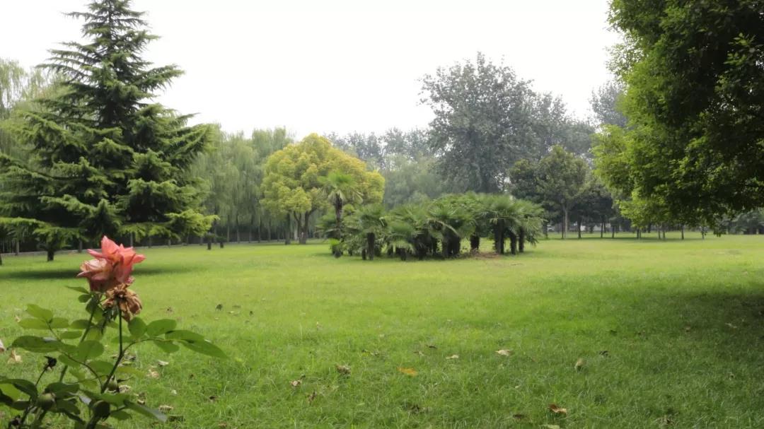 郑州被评为幸福城市有什么看法,2021郑州最具幸福感城市