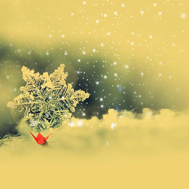 致橡树邀你合拍朗诵,致橡树并肩而行朗诵视频