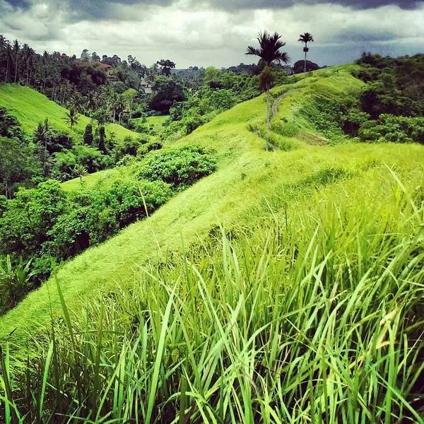 手机拍照入门教程从零开始学摄影,手机人像摄影教程从零开始学摄影