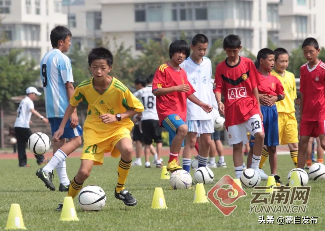 云南省现代教育示范学校名单,云南特色学校排行榜
