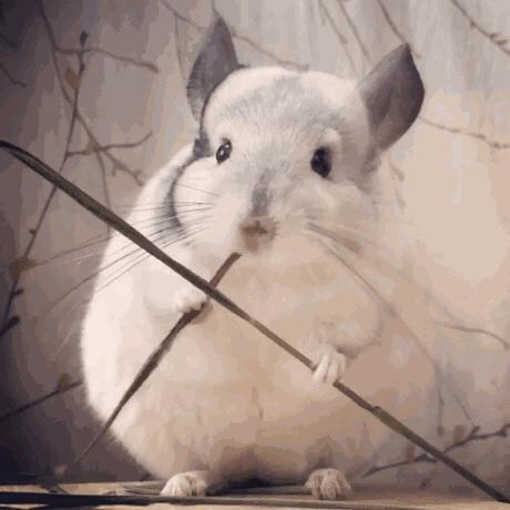 心药讲的什么,心药语音视频