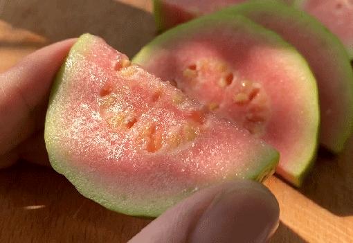 软糯香甜广西现摘红心芭乐,又脆又甜不带色的红心芭乐好吃