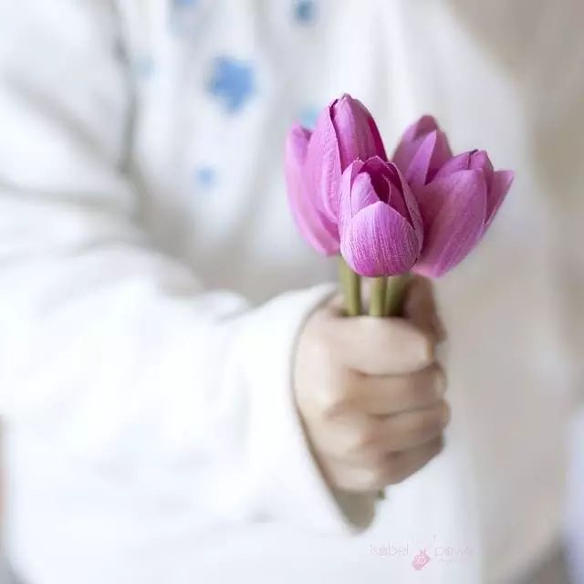 开玩笑送什么花合适呢,各种场合应该送什么花