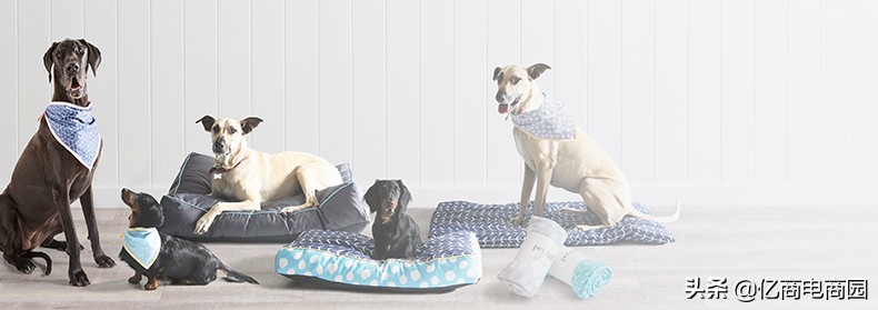 全国最大宠物用品进货批发市场,广东宠物用品进货渠道