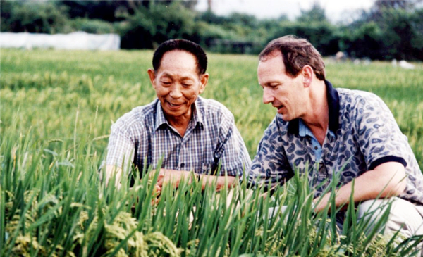 顶级科学家爱因斯坦牛顿,美国天才牛顿德国天才爱因斯坦