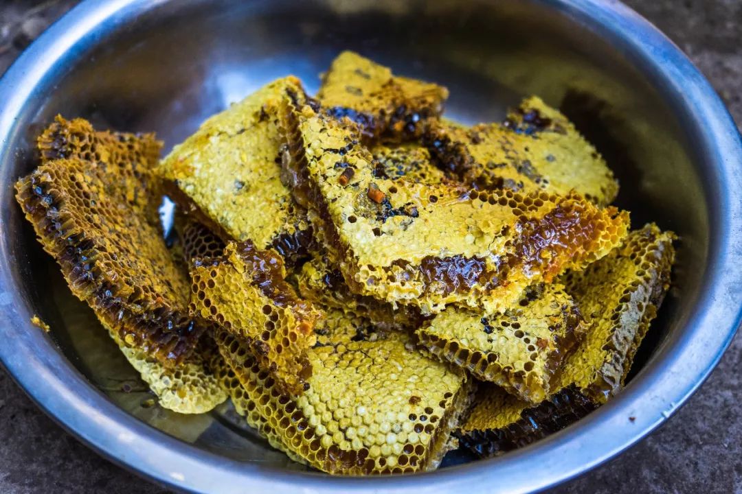 土蜂蜜取蜜全过程,土蜂蜜正确取蜜方法