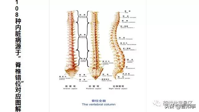 忻州薛氏正骨,忻州古城傅山苑