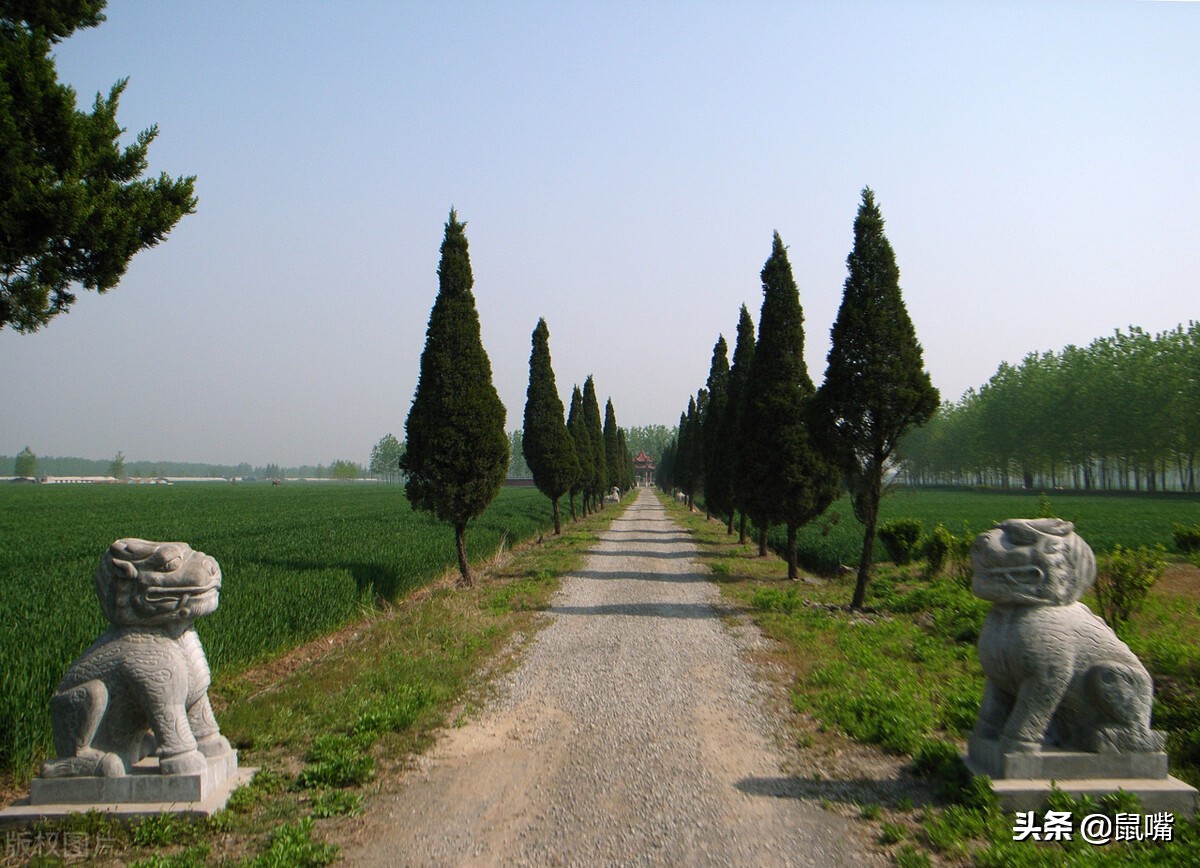 荀子节选原文及翻译,荀子译文翻译