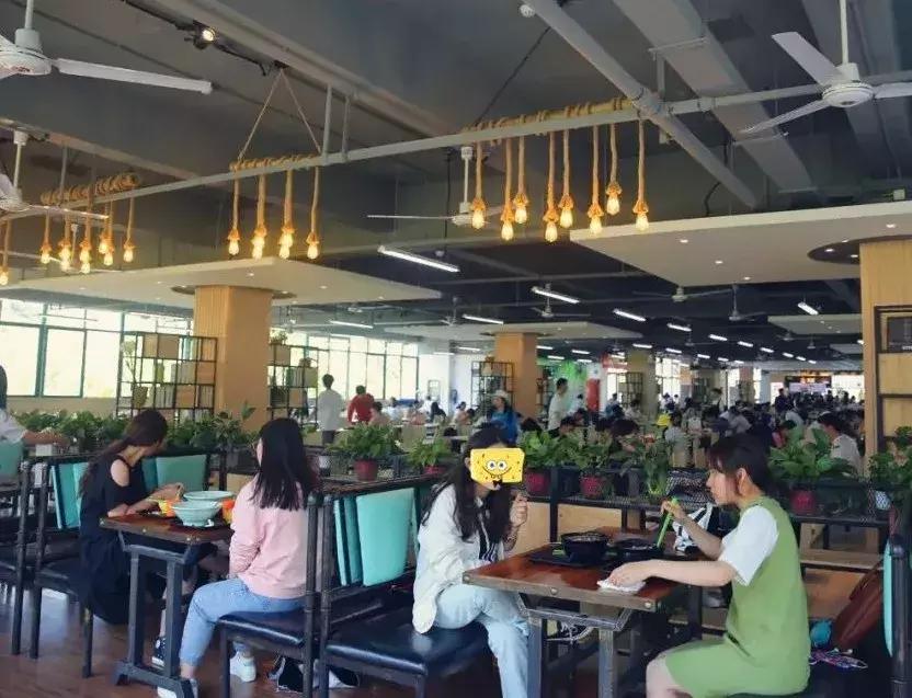 苏州大学文正学院专转本2020,苏州大学文正学院专转本人力资源