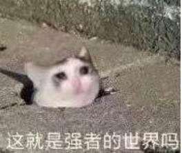 保险返佣成功案例,卖保险返佣金