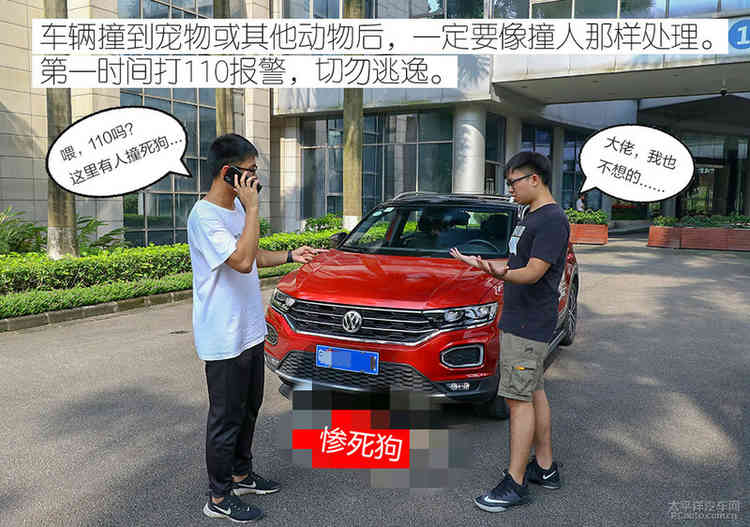 避之唯恐不及车撞死狗后该如何处理？