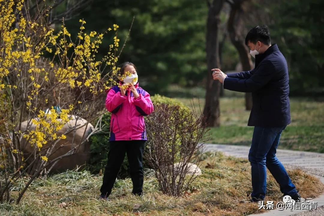 天津新开放的公园,天津水西公园现在恢复开放了吗