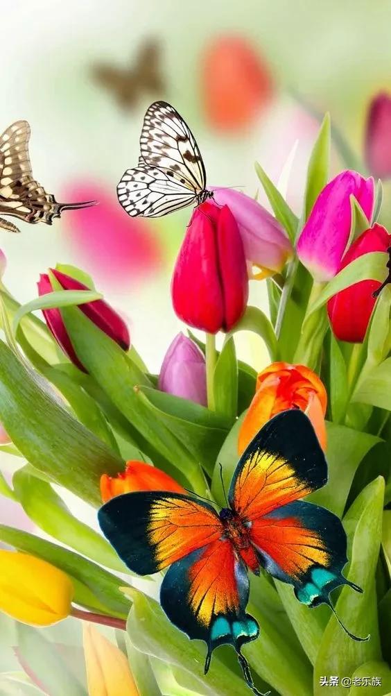 离退休之后一定要停止做这八件事,离退休人员必须知道的条件