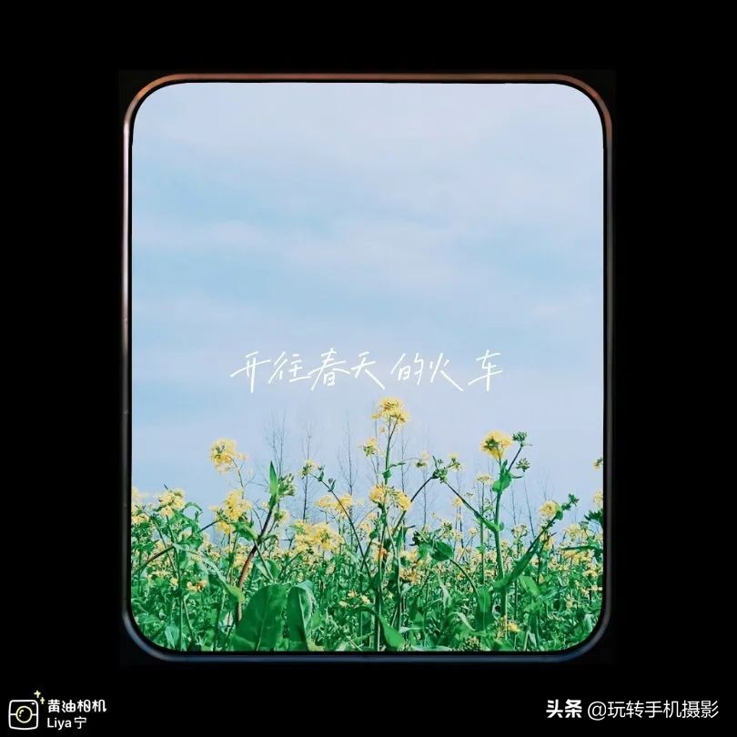 今年错过的春天，这些摄影app全给安排上了