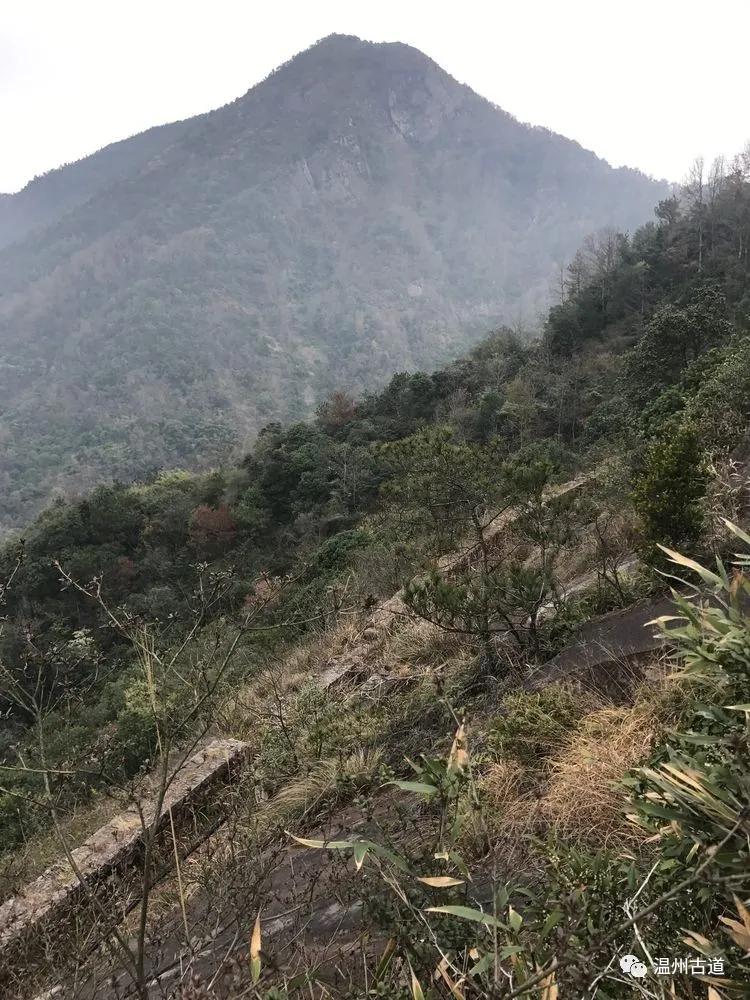 安静的尖叫,寂静的尖叫