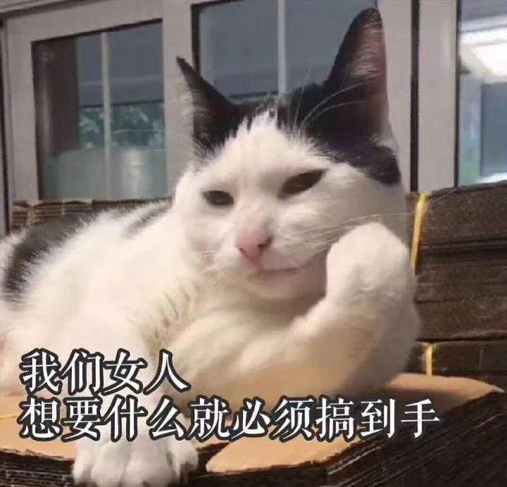 公认最好用的10款平价睫毛膏,睫毛膏推荐网红爆款50元