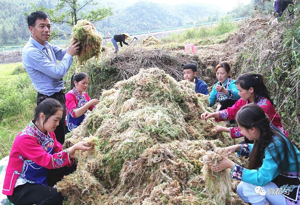 都匀未来印象,都匀未来的发展向北还是向南