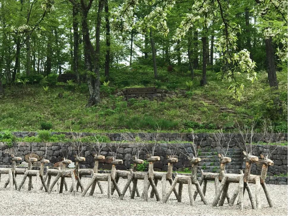 日本疫情举行聚会,日本民众疫情聚会