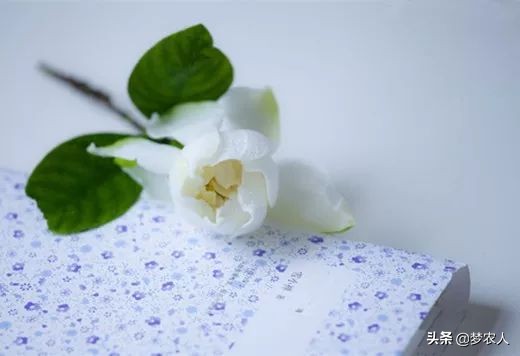 你怎么放进去，我就怎么拿出来