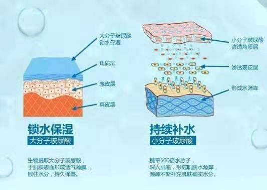 玻尿酸胶原蛋白的功效与作用,玻尿酸精华水的功效与作用点