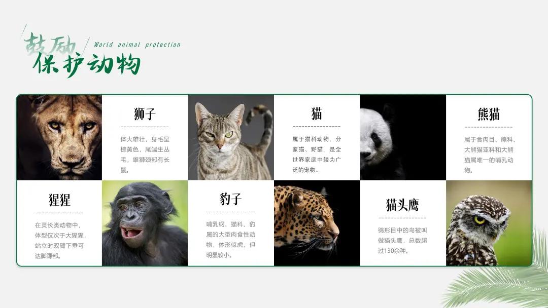 ppt排版设计技巧ppt制作培训教程,ppt优秀的图文排版案例