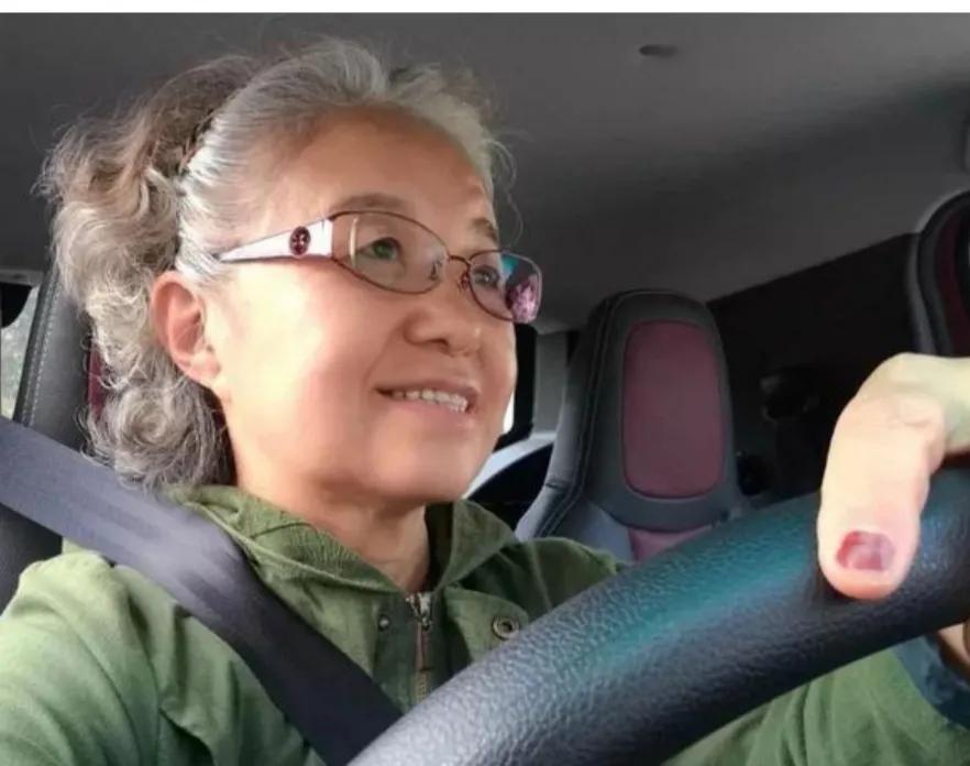 共享汽车与猪车有什么区别,共享汽车消失