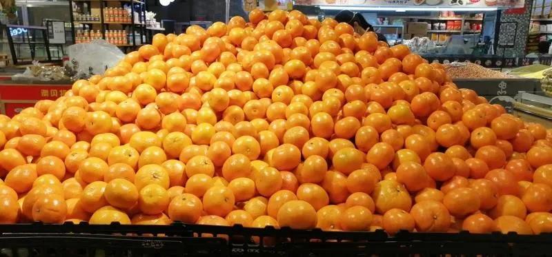 【战疫行动】黄州人，你下单代购的蔬果都是从哪里、怎么来的？——保供“战场”系列报道（四）